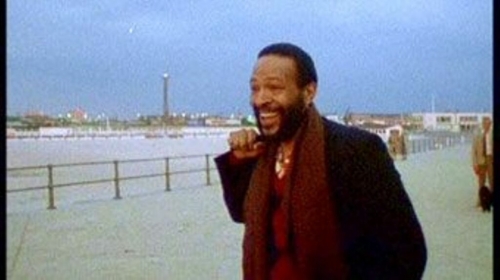 gun club,buzzcocks,marvin gaye,youngs gods,clarence carter,howlin' jaws,abyssal liturgie,dragged into obliteration