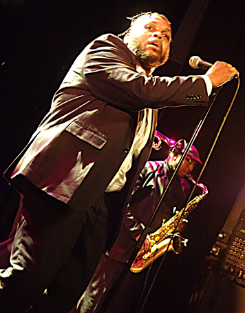 , carl & the rhythm allstars, onie wheeler, derobert & the half-truth's, monsterwatch, bookert t. jones, rockabilly generation news, cult of occult, loxodonta, franck bouysse,