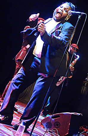 , carl & the rhythm allstars, onie wheeler, derobert & the half-truth's, monsterwatch, bookert t. jones, rockabilly generation news, cult of occult, loxodonta, franck bouysse,
