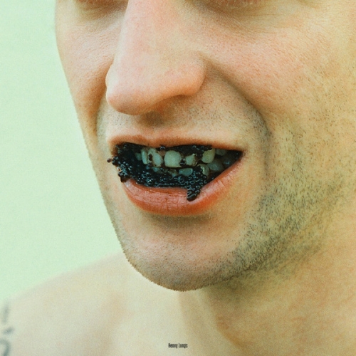 buzzcocks,grip weeds,heavy lungs,deep south,liz lamere,shakura s'aida,apartments,travis wammack,booker t. jones