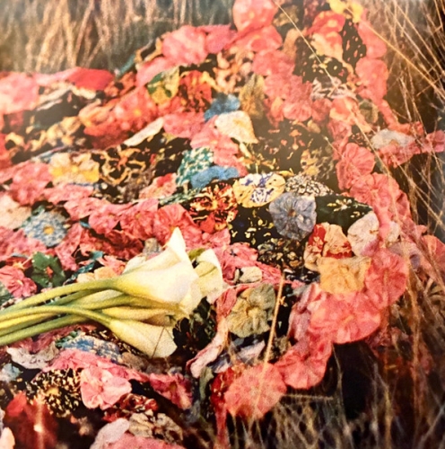 z31951fleurs.jpg
