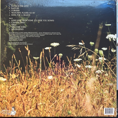 z31666dosdedisque.jpg