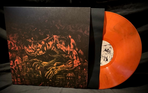 z31471couve+orange.jpg